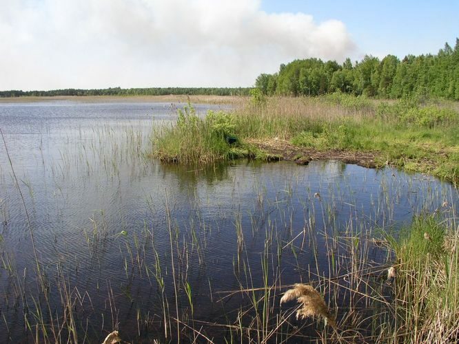 Maakond: Läänemaa Veekogu nimi: Hindaste järv Pildistamise aeg: 24. mai 2008 Pildistaja: H. Timm Pildistamise koht: teadmata Asimuut: