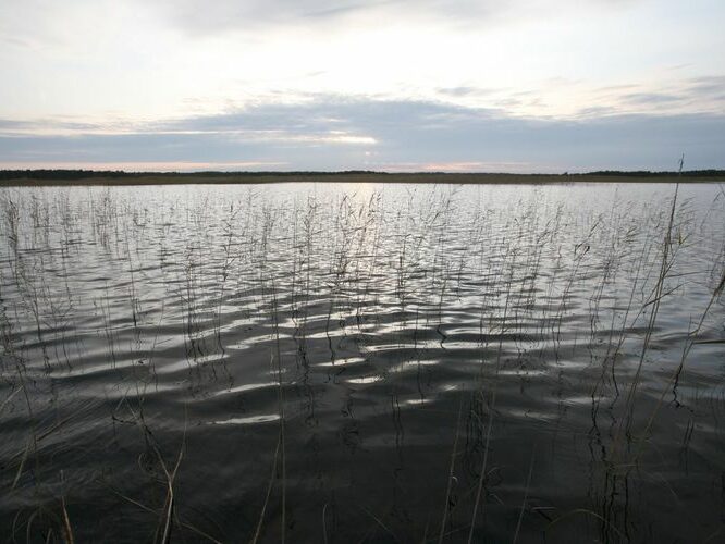 Maakond: Läänemaa Veekogu nimi: Hindaste järv Pildistamise aeg: 26. september 2008 Pildistaja: H. Timm Pildistamise koht: teadmata Asimuut: