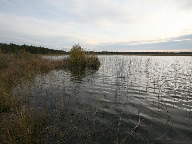 Maakond: Läänemaa Veekogu nimi: Hindaste järv Pildistamise aeg: 26. september 2008 Pildistaja: H. Timm Pildistamise koht: teadmata Asimuut: