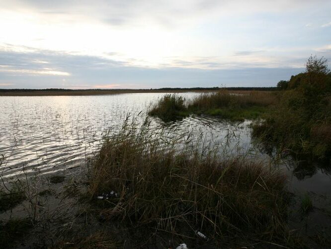 Maakond: Läänemaa Veekogu nimi: Hindaste järv Pildistamise aeg: 26. september 2008 Pildistaja: H. Timm Pildistamise koht: teadmata Asimuut: