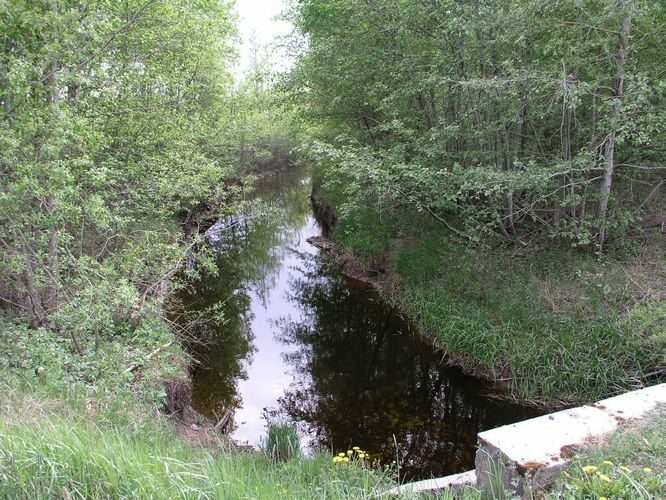 Maakond: Pärnumaa Veekogu nimi: Hirve peakraav Pildistamise aeg: 15. mai 2008 Pildistaja: H. Timm Pildistamise koht: alamjooks Asimuut: