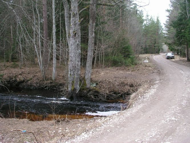 Maakond: Läänemaa Veekogu nimi: Höbringi oja Pildistamise aeg: 19. aprill 2006 Pildistaja: H. Timm Pildistamise koht: teadmata Asimuut: