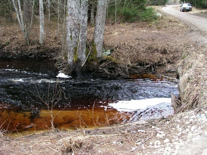 Maakond: Läänemaa Veekogu nimi: Höbringi oja Pildistamise aeg: 19. aprill 2006 Pildistaja: H. Timm Pildistamise koht: teadmata Asimuut: