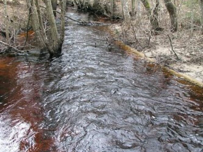 Maakond: Läänemaa Veekogu nimi: Höbringi oja Pildistamise aeg: 19. aprill 2006 Pildistaja: H. Timm Pildistamise koht: teadmata Asimuut: