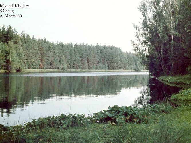 Maakond: Põlvamaa Veekogu nimi: Holvandi Kivijärv Pildistamise aeg: august 1979 Pildistaja: A. Mäemets Pildistamise koht: teadmata Asimuut: