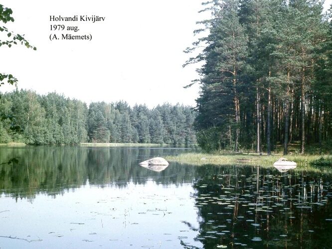 Maakond: Põlvamaa Veekogu nimi: Holvandi Kivijärv Pildistamise aeg: august 1979 Pildistaja: A. Mäemets Pildistamise koht: teadmata Asimuut: