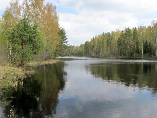 Maakond: Põlvamaa Veekogu nimi: Holvandi Kivijärv Pildistamise aeg: 5. mai 2012 Pildistaja: H. Timm Pildistamise koht: teadmata Asimuut: