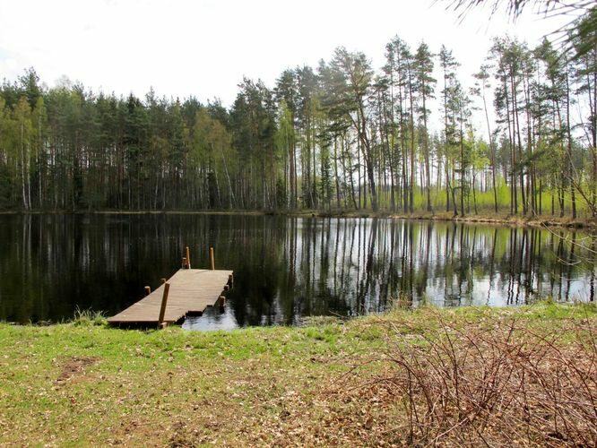 Maakond: Põlvamaa Veekogu nimi: Holvandi Kivijärv Pildistamise aeg: 5. mai 2012 Pildistaja: H. Timm Pildistamise koht: teadmata Asimuut: