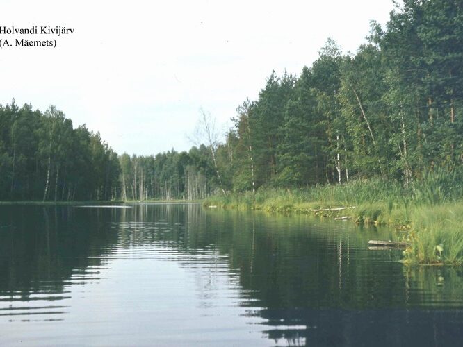 Maakond: Põlvamaa Veekogu nimi: Holvandi Kivijärv Pildistamise aeg: teadmata Pildistaja: A. Mäemets Pildistamise koht: teadmata Asimuut: