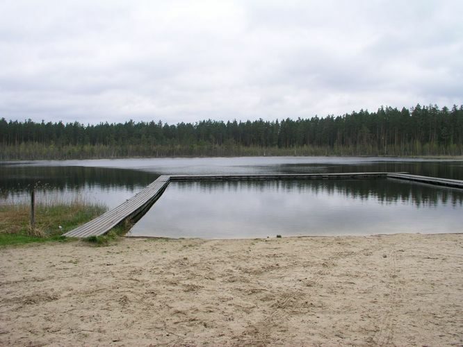 Maakond: Põlvamaa Veekogu nimi: Ihamaru Palojärv Pildistamise aeg: 16. mai 2005 Pildistaja: H. Timm Pildistamise koht: teadmata Asimuut: