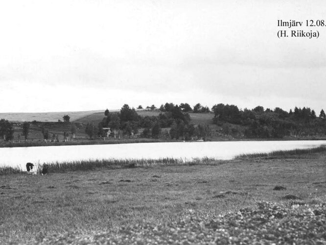 Maakond: Jõgevamaa Veekogu nimi: Ilmjärv Pildistamise aeg: 12. august 1928 Pildistaja: H. Riikoja Pildistamise koht: teadmata Asimuut: