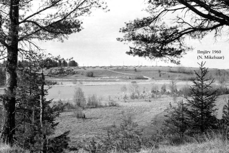 Maakond: Jõgevamaa Veekogu nimi: Ilmjärv Pildistamise aeg: 1960 Pildistaja: N. Mikelsaar Pildistamise koht: S kaldalt Asimuut: NNE