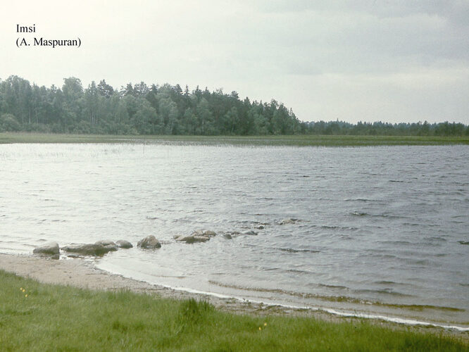 Maakond: Raplamaa Veekogu nimi: Imsi järv Pildistamise aeg: teadmata Pildistaja: A. Maspuran Pildistamise koht: teadmata Asimuut: