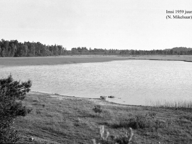 Maakond: Raplamaa Veekogu nimi: Imsi järv Pildistamise aeg: juuni 1959 Pildistaja: N. Mikelsaar Pildistamise koht: teadmata Asimuut: