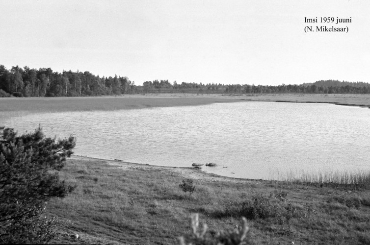 Maakond: Raplamaa Veekogu nimi: Imsi järv Pildistamise aeg: juuni 1959 Pildistaja: N. Mikelsaar Pildistamise koht: teadmata Asimuut: