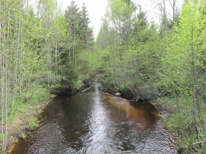 Maakond: Lääne-Virumaa Veekogu nimi: Imukvere jõgi Pildistamise aeg: 15. mai 2010 Pildistaja: H. Timm Pildistamise koht: Luusika tee sild Asimuut: