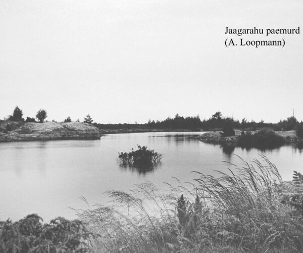 Maakond: Saaremaa Veekogu nimi: Jaagarahu karjäär Pildistamise aeg: teadmata Pildistaja: A. Loopmann (Eesti Looduse arhiiv) Pildistamise koht: teadmata Asimuut:
