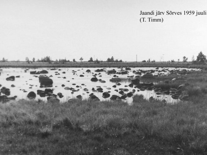 Maakond: Saaremaa Veekogu nimi: Jaandi järv Pildistamise aeg: juuli 1959 Pildistaja: T. Timm Pildistamise koht: S Asimuut: