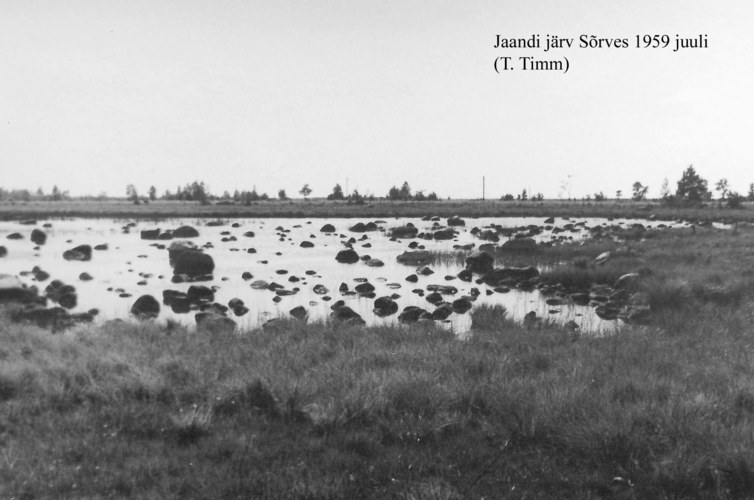 Maakond: Saaremaa Veekogu nimi: Jaandi järv Pildistamise aeg: juuli 1959 Pildistaja: T. Timm Pildistamise koht: S Asimuut: