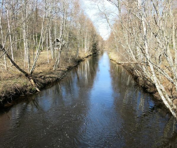 Maakond: Järvamaa Veekogu nimi: Jägala jõgi Pildistamise aeg: 27. aprill 2014 Pildistaja: H. Timm Pildistamise koht: Simisalu Asimuut: