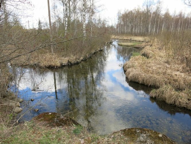 Maakond: Järvamaa Veekogu nimi: Jägala jõgi Pildistamise aeg: 2. mai 2014 Pildistaja: H. Timm Pildistamise koht: Kiigumõisa Asimuut: