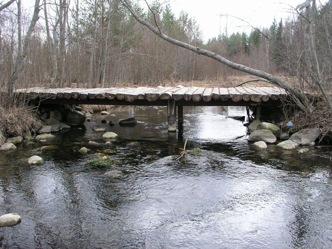 Maakond: Järvamaa Veekogu nimi: Jänijõgi Pildistamise aeg: 24. aprill 2003 Pildistaja: H. Timm Pildistamise koht: Nelijärve Asimuut: