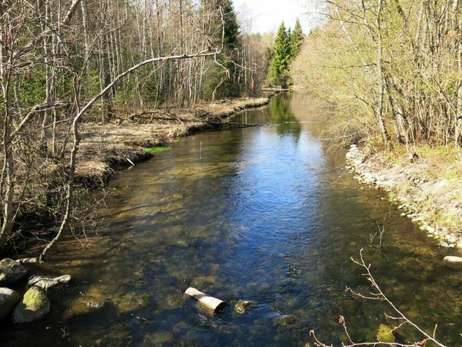 Maakond: Lääne-Virumaa Veekogu nimi: Jänijõgi Pildistamise aeg: 27. aprill 2014 Pildistaja: H. Timm Pildistamise koht: Jäneda tee ääres Asimuut: