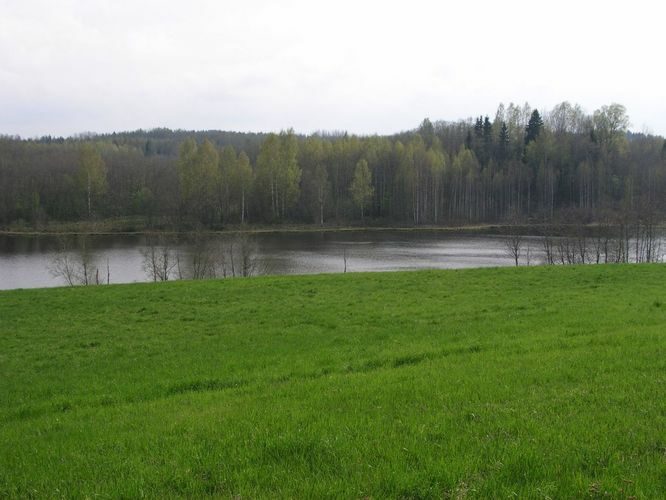 Maakond: Põlvamaa Veekogu nimi: Jänukjärv Pildistamise aeg: 16. mai 2005 Pildistaja: H. Timm Pildistamise koht: teadmata Asimuut: