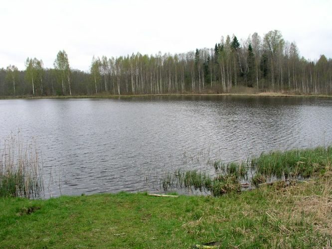 Maakond: Põlvamaa Veekogu nimi: Jänukjärv Pildistamise aeg: 16. mai 2005 Pildistaja: H. Timm Pildistamise koht: lääneosa Asimuut: