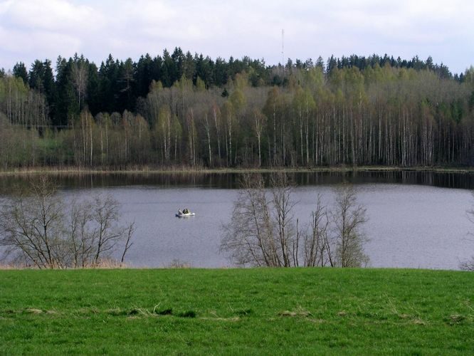 Maakond: Põlvamaa Veekogu nimi: Jänukjärv Pildistamise aeg: 16. mai 2005 Pildistaja: H. Timm Pildistamise koht: teadmata Asimuut: