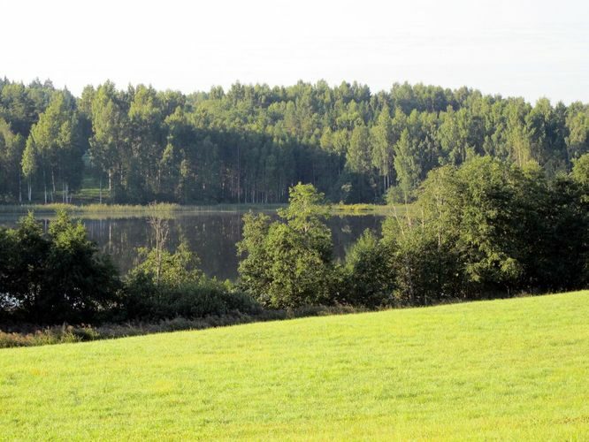 Maakond: Põlvamaa Veekogu nimi: Jänukjärv Pildistamise aeg: 25. august 2011 Pildistaja: H. Timm Pildistamise koht: teadmata Asimuut: