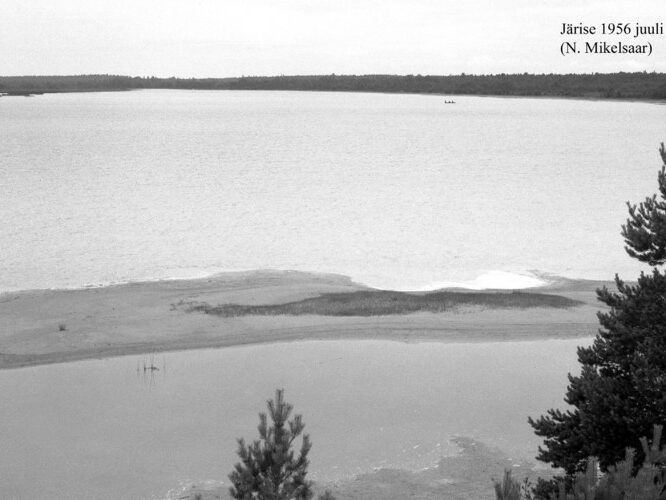 Maakond: Saaremaa Veekogu nimi: Järise järv Pildistamise aeg: juuli 1956 Pildistaja: N. Mikelsaar Pildistamise koht: teadmata Asimuut: