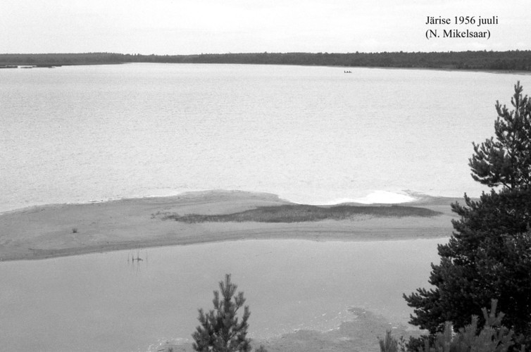 Maakond: Saaremaa Veekogu nimi: Järise järv Pildistamise aeg: juuli 1956 Pildistaja: N. Mikelsaar Pildistamise koht: teadmata Asimuut: