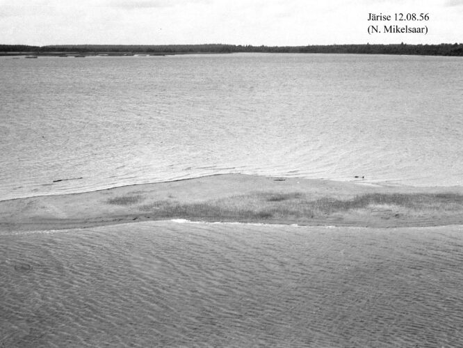 Maakond: Saaremaa Veekogu nimi: Järise järv Pildistamise aeg: 12. august 1956 Pildistaja: N. Mikelsaar Pildistamise koht: teadmata Asimuut: