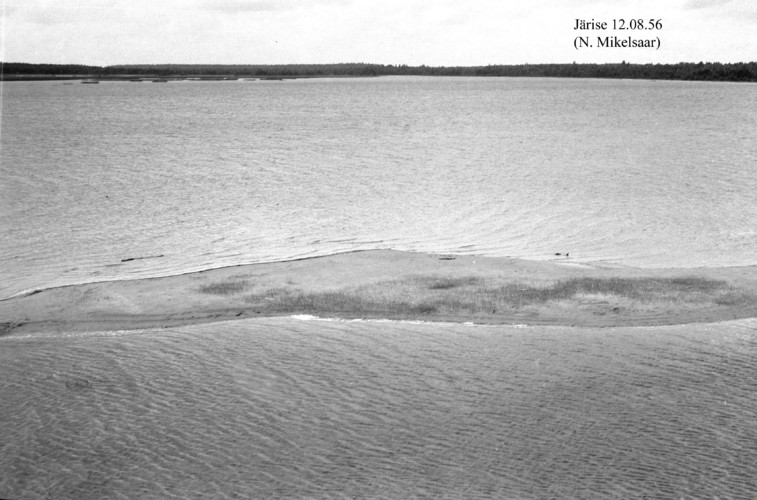 Maakond: Saaremaa Veekogu nimi: Järise järv Pildistamise aeg: 12. august 1956 Pildistaja: N. Mikelsaar Pildistamise koht: teadmata Asimuut: