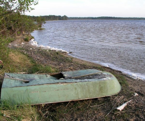 Maakond: Saaremaa Veekogu nimi: Järise järv Pildistamise aeg: 26. mai 2005 Pildistaja: H. Timm Pildistamise koht: teadmata Asimuut:
