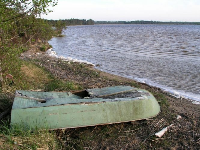 Maakond: Saaremaa Veekogu nimi: Järise järv Pildistamise aeg: 26. mai 2005 Pildistaja: H. Timm Pildistamise koht: teadmata Asimuut: