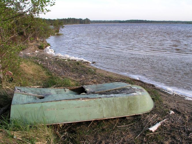 Maakond: Saaremaa Veekogu nimi: Järise järv Pildistamise aeg: 26. mai 2005 Pildistaja: H. Timm Pildistamise koht: teadmata Asimuut: