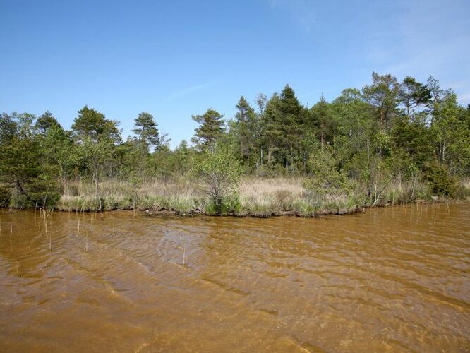 Maakond: Saaremaa Veekogu nimi: Järise järv Pildistamise aeg: 24. mai 2008 Pildistaja: H. Timm Pildistamise koht: teadmata Asimuut: