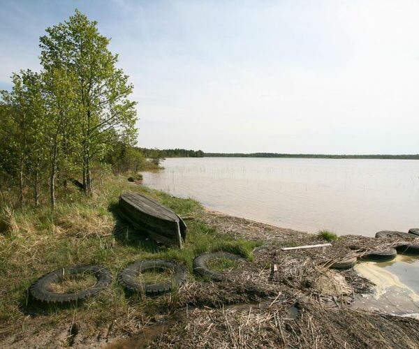 Maakond: Saaremaa Veekogu nimi: Järise järv Pildistamise aeg: 24. mai 2008 Pildistaja: H. Timm Pildistamise koht: teadmata Asimuut: