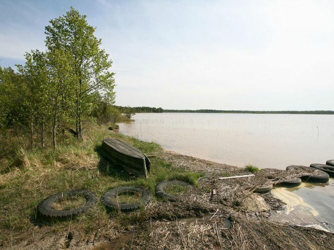 Maakond: Saaremaa Veekogu nimi: Järise järv Pildistamise aeg: 24. mai 2008 Pildistaja: H. Timm Pildistamise koht: teadmata Asimuut: