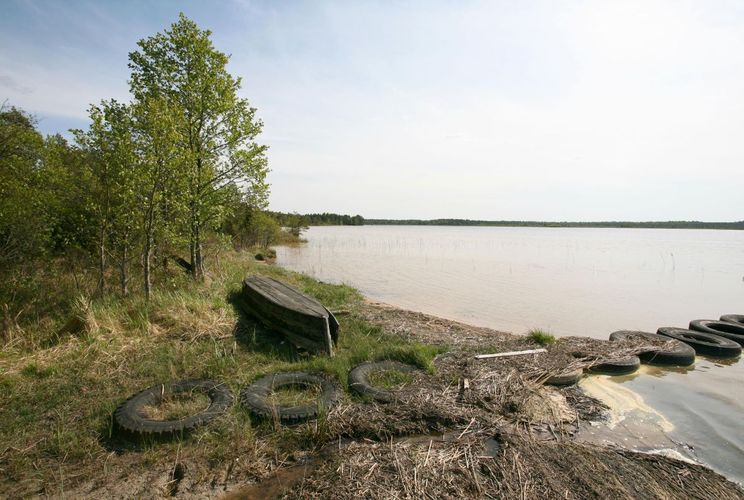 Maakond: Saaremaa Veekogu nimi: Järise järv Pildistamise aeg: 24. mai 2008 Pildistaja: H. Timm Pildistamise koht: teadmata Asimuut: