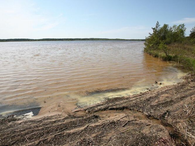 Maakond: Saaremaa Veekogu nimi: Järise järv Pildistamise aeg: 24. mai 2008 Pildistaja: H. Timm Pildistamise koht: teadmata Asimuut: