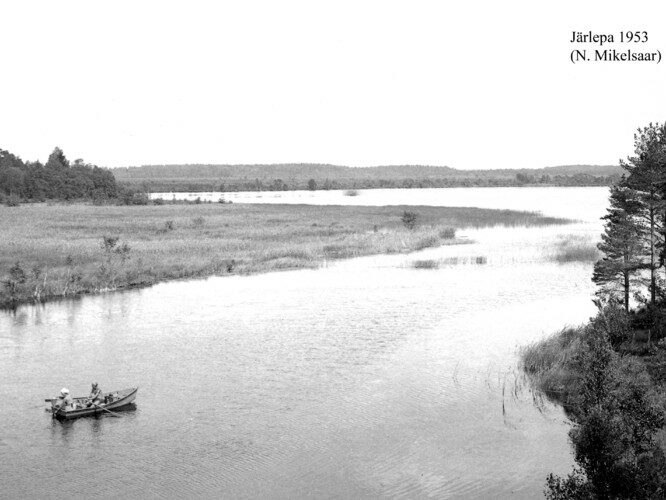 Maakond: Raplamaa Veekogu nimi: Järlepa järv Pildistamise aeg: 1953 Pildistaja: N. Mikelsaar Pildistamise koht: teadmata Asimuut: