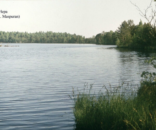 Maakond: Raplamaa Veekogu nimi: Järlepa järv Pildistamise aeg: teadmata Pildistaja: A. Maspuran Pildistamise koht: teadmata Asimuut: