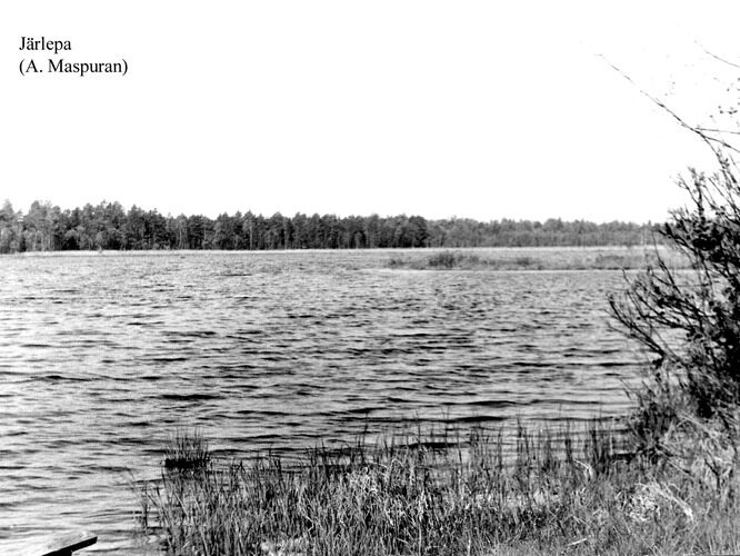 Maakond: Raplamaa Veekogu nimi: Järlepa järv Pildistamise aeg: teadmata Pildistaja: A. Maspuran Pildistamise koht: teadmata Asimuut: