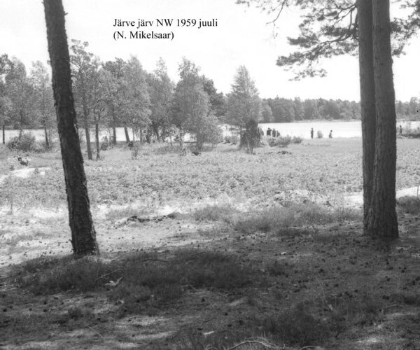 Maakond: Saaremaa Veekogu nimi: Järve järv Pildistamise aeg: juuli 1959 Pildistaja: N. Mikelsaar Pildistamise koht: NW kaldalt Asimuut: