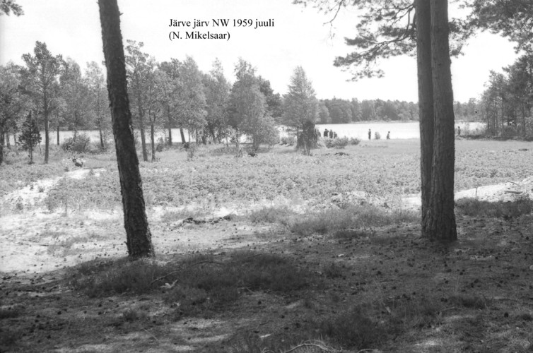 Maakond: Saaremaa Veekogu nimi: Järve järv Pildistamise aeg: juuli 1959 Pildistaja: N. Mikelsaar Pildistamise koht: NW kaldalt Asimuut: