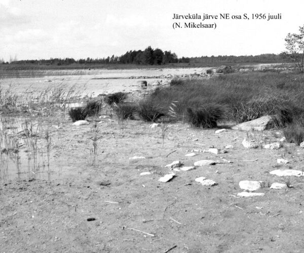 Maakond: Saaremaa Veekogu nimi: Järveküla järv Pildistamise aeg: juuli 1956 Pildistaja: N. Mikelsaar Pildistamise koht: NE osa Asimuut: N