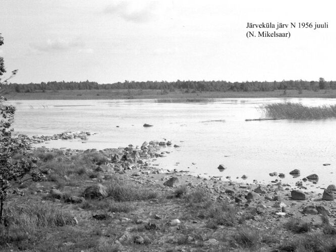 Maakond: Saaremaa Veekogu nimi: Järveküla järv Pildistamise aeg: juuli 1956 Pildistaja: N. Mikelsaar Pildistamise koht: N kaldalt Asimuut: